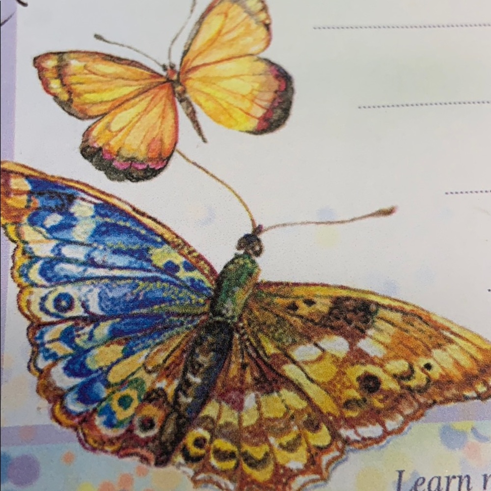 Meet your Posher, Lj